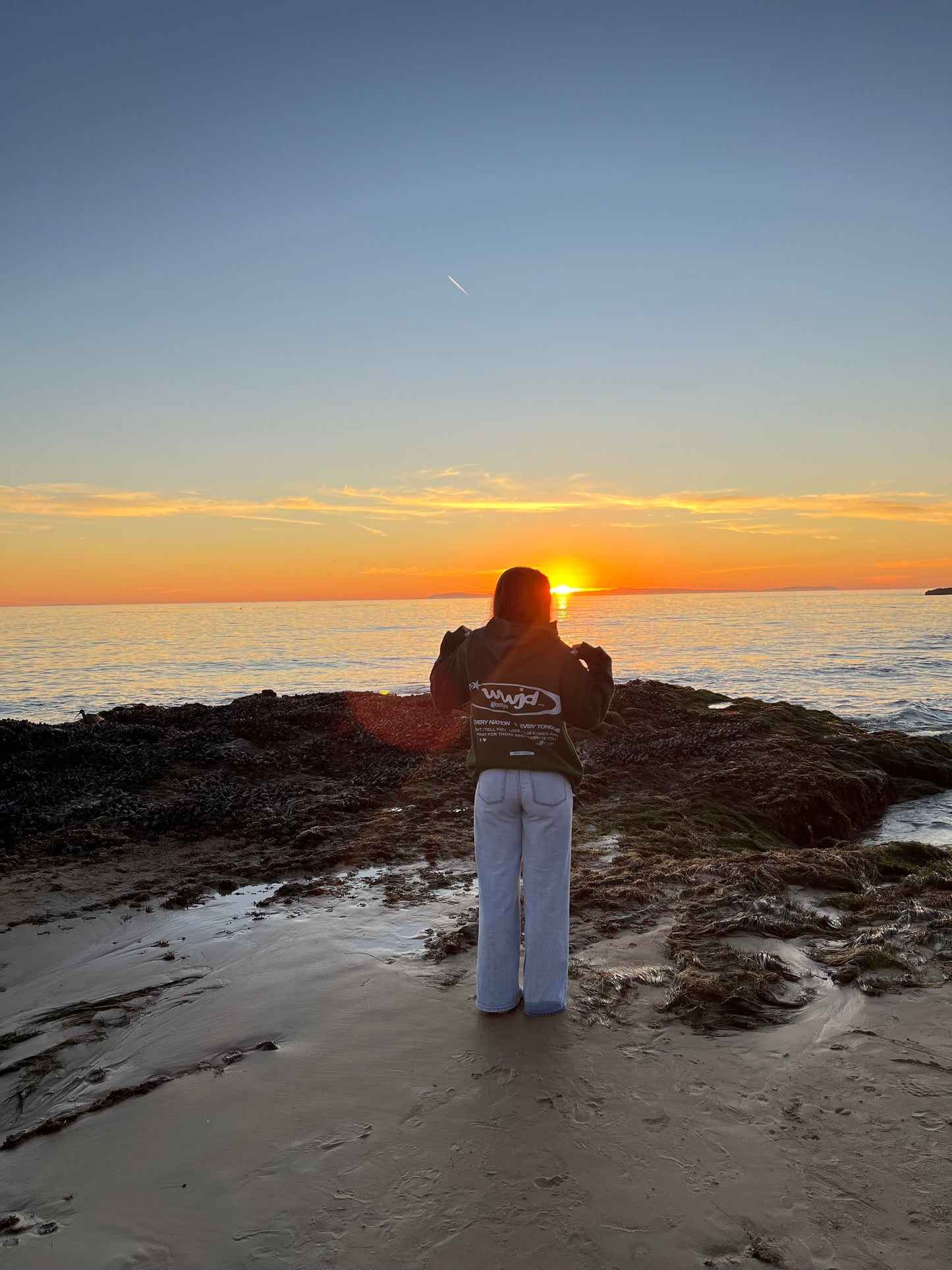 What Would Jesus Do Hoodie