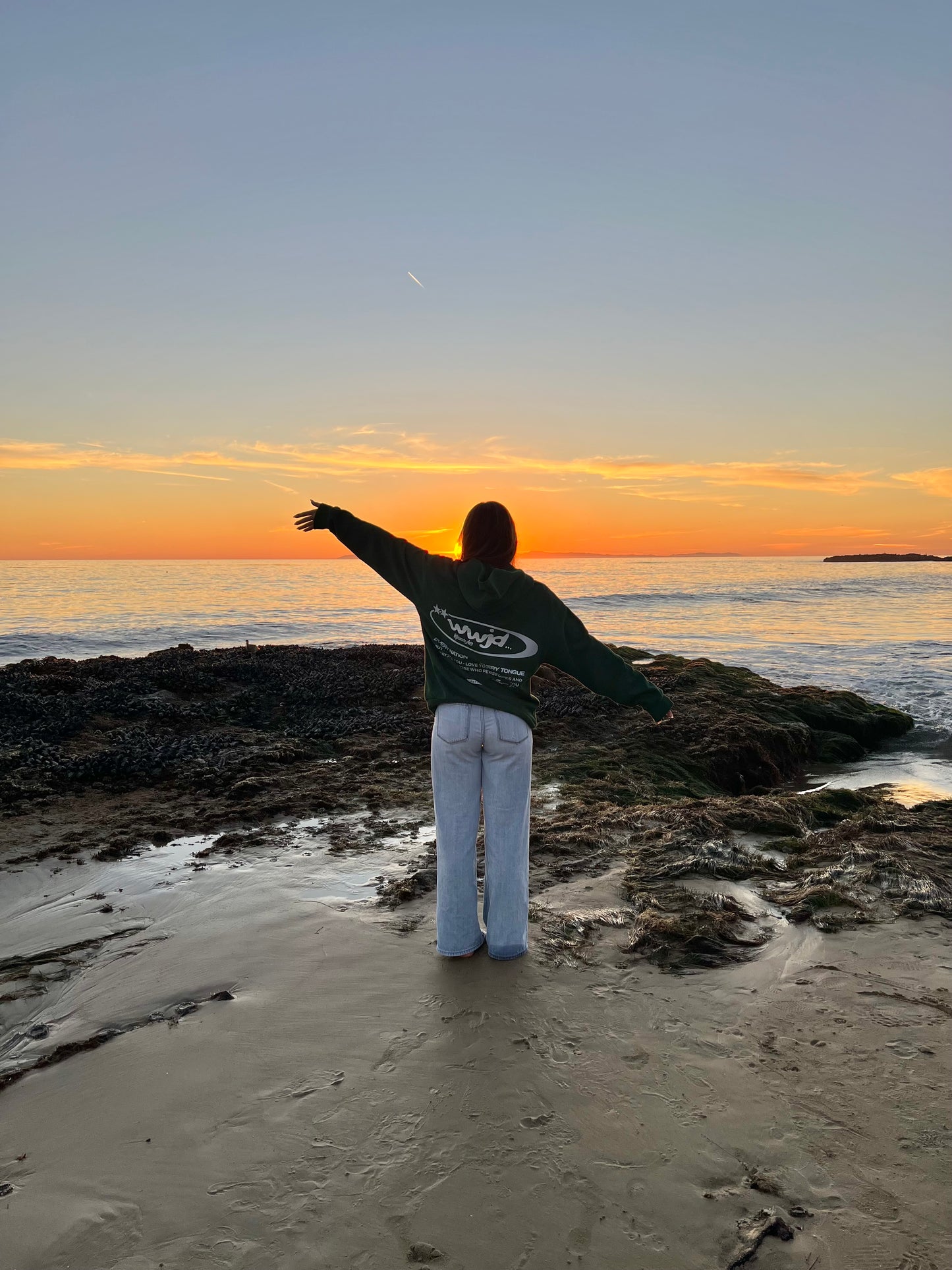 What Would Jesus Do Hoodie